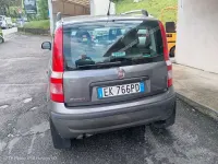 Usata Fiat Panda Dynamic 69 CV (50 kW) 2011 Utilitaria