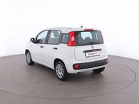 usata Fiat Panda SP62620