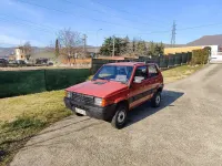 Usata Fiat Panda 4x4 54 CV (39 kW) 1997 Rosso Utilitaria