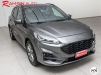 usata Ford Kuga 1.5 EcoBlue 120 CV aut. 2WD ST-Line X del 2020 usata a Gubbio