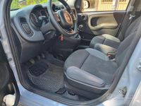 Usata Fiat Panda Easy 69 CV (50 kW) 2019 Grigio Utilitaria