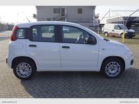 Usata Fiat Panda Easy 69 CV (50 kW) 2018 Bianco Berlina