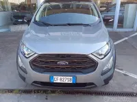 Usata Ford Ecosport Active 125 CV (91 kW) 2021 Grigio SUV