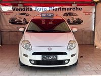 usata Fiat Punto Evo 1.3 MULTIJET 75CV 2014