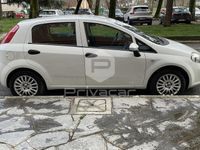 usata Fiat Punto Punto1.3 MJT II 75 CV 5 porte Lounge