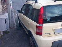 Usata Fiat Panda 4x4 Climbing 69 CV (50 kW) 2007 Giallo Utilitaria