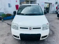 Usata Fiat Panda 4x4 Climbing 69 CV (50 kW) 2012 Bianco Utilitaria