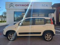 Gebraucht Fiat Panda 4x4 S 75 PS (55 kW) 2014 Weiß Kleinwagen