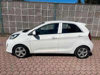 Occasion Kia Picanto 69 ch (50 kW) 2016 Blanc Citadine