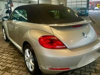 Usata VW Beetle Cabriolet 105 CV (77 kW) 2016 Beige Cabrio