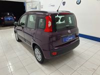 usata Fiat Panda Easy 1.2 Benzina 69cv Unipro