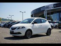 Usata Lancia Ypsilon S 69 CV (50 kW) 2024 Bianco Utilitaria