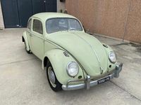 Usata VW Beetle 1960 Verde