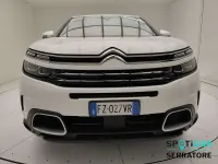 Usata Citroën C5 Aircross Shine 177 CV (130 kW) 2020 Bianco SUV