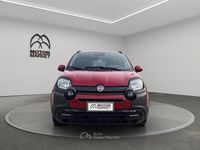 Usata Fiat Panda Cross Cross 70 CV (51 kW) 2025 Rosso passione Utilitaria