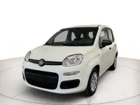 Nuova Fiat Panda S 70 CV (51 kW) 2025 Bianco Utilitaria