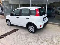 Usata Fiat Panda S 69 CV (50 kW) 2023 Bianco Utilitaria