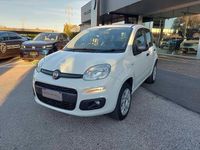 Usata Fiat Panda Easy 84 CV (61 kW) 2020 Bianco Utilitaria
