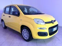 Nuova Fiat Panda Icon 65 CV (47 kW) 2026 Giallo Utilitaria