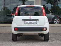 Usata Fiat Panda Pop 80 CV (58 kW) 2018 Bianco Utilitaria