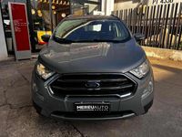 Usata Ford Ecosport Titanium 95 CV (69 kW) 2020 Grigio(met.) SUV