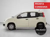 Usata Fiat Panda Easy 69 CV (50 kW) 2017 Bianco Utilitaria