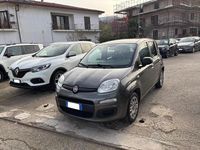 Usata Fiat Panda Easy 69 CV (50 kW) 2019 Grigio Utilitaria