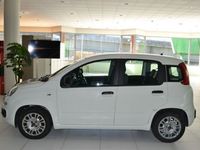 usata Fiat Panda 1.0 - 1.0 70cv hybrid