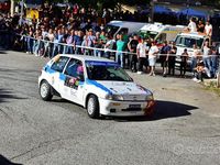Usata Peugeot 106 1994 Utilitaria