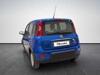 Usata Fiat Panda S 70 CV (51 kW) 2024 Blu venezia met. Utilitaria