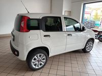 usata Fiat Panda VAN 2016