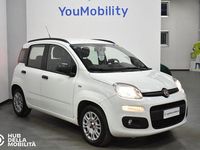 Usata Fiat Panda Easy 69 CV (50 kW) 2017 Bianco Utilitaria