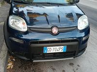 Usata Fiat Panda 4x4 85 CV (62 kW) 2021 Blu Utilitaria