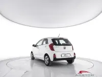 Usata Kia Picanto 65 CV (47 kW) 2016 Bianco Utilitaria