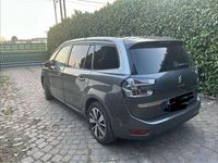 Usata Citroën C4 SpaceTourer Shine 131 CV (96 kW) 2019 Monovolume