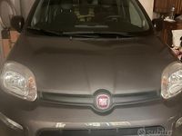 Usata Fiat Panda 2023 Utilitaria