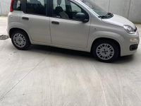 Usata Fiat Panda 95 CV (69 kW) 2016 Utilitaria
