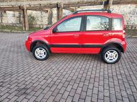 Usata Fiat Panda 4x4 75 CV (55 kW) 2007 Rosso Utilitaria