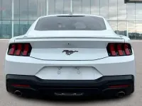 Usata Ford Mustang Fastback 318 CV (233 kW) 2024 Bianco pastello