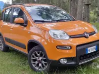 Usata Fiat Panda 4x4 85 CV (62 kW) 2017 Utilitaria