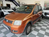Usata Fiat Panda 4x4 Climbing 60 CV (44 kW) 2007 Bronzo Utilitaria