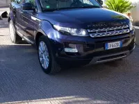 Usata Land Rover Range Rover evoque 190 CV (139 kW) 2014 SUV
