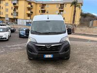 Usata Opel Movano 140 CV (102 kW) 2023 Bianco Furgone