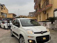 Usata Fiat Panda Easy 69 CV (50 kW) 2015 Bianco Berlina