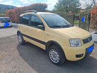Usata Fiat Panda 4x4 Climbing 59 CV (43 kW) 2007 Giallo Utilitaria