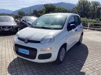 Usata Fiat Panda Easy 75 CV (55 kW) 2015 Bianco Utilitaria