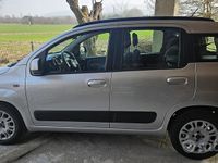 Usata Fiat Panda Pop 70 CV (51 kW) 2015 Grigio Utilitaria