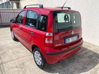 usata Fiat Panda 1200 60cv neopatentati