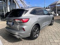 Usata Ford Kuga ST-Line 150 CV (110 kW) 2020 Grigio SUV