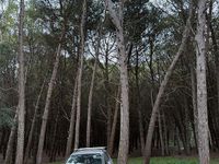 Usata Seat Ateca 115 CV (84 kW) 2016 Grigio SUV